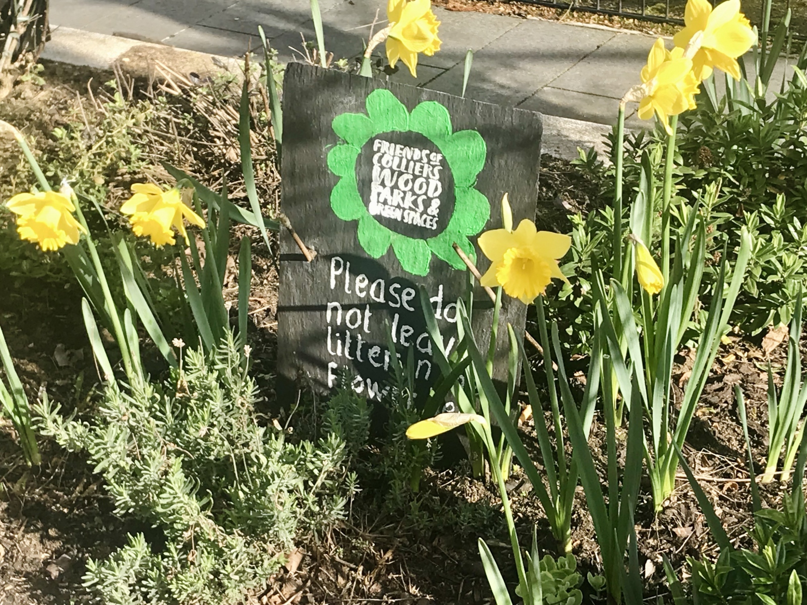 Daffodils and signage in Spring 2021 in Baltic Close