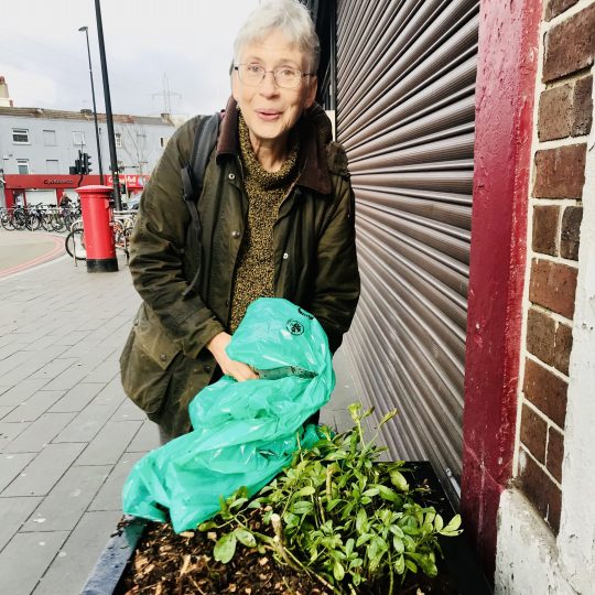 Colliers-Wood-Parks-and-Green-Spaces-Volunteers-High-Street-planter-Nov-2020