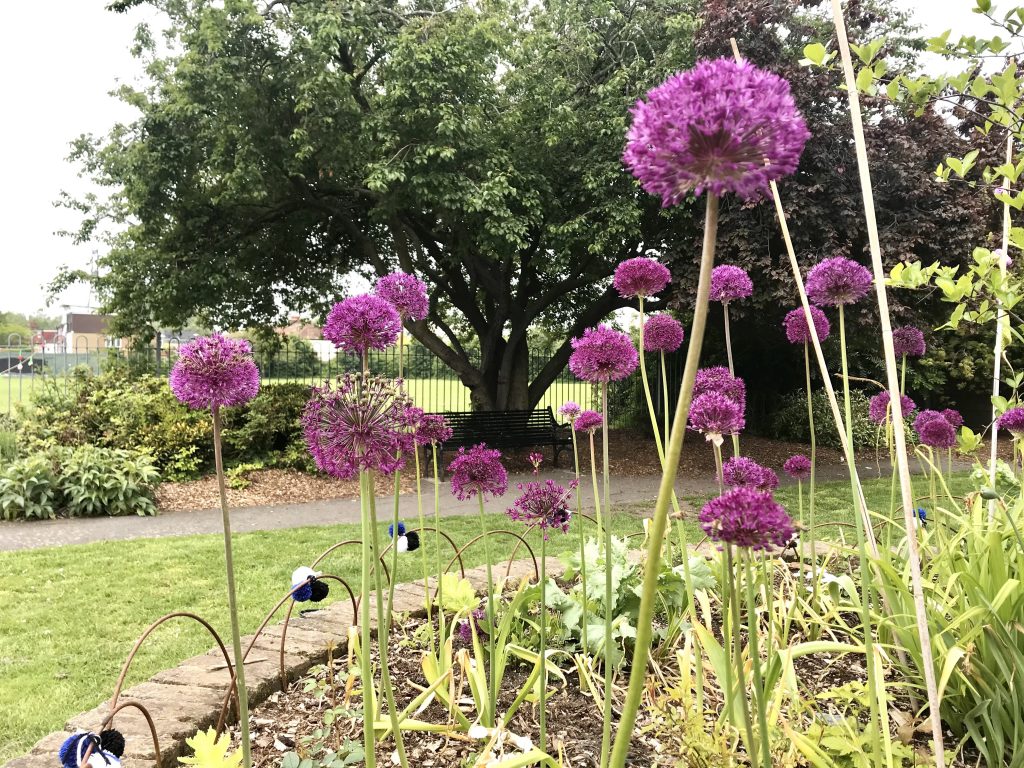 Colliers-Wood-Parks-and-Green-Spaces-Volunteers-The-Rec-Memorial-Garden