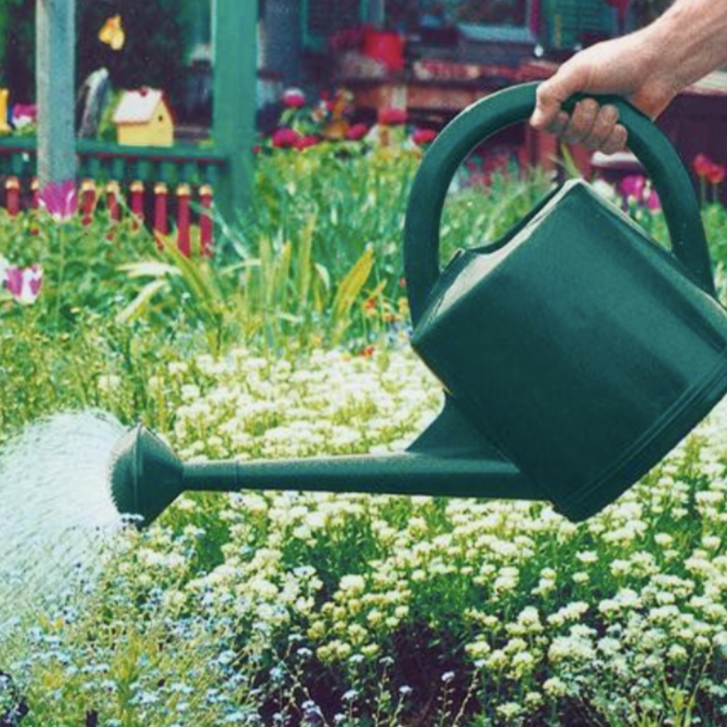 Colliers-Wood-Parks-and-Green-Spaces-Volunteers-Watering-Can